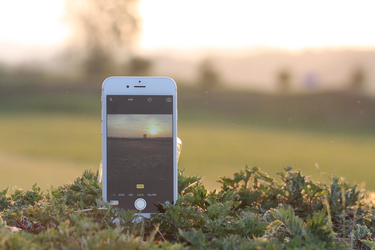 Folia hydrożelowa czy szkło na telefon? Sprawdź, co wybrać!